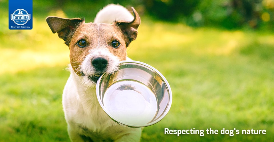 Sea Park Pet Supplies Sdn Bhd 2025